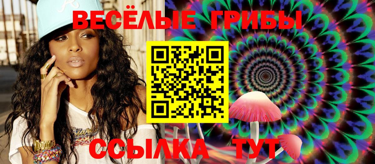Псилоцибиновые грибы Cubensis  Вход с VPN  Барнаул  Галлюциногенные грибы Magic Shrooms 